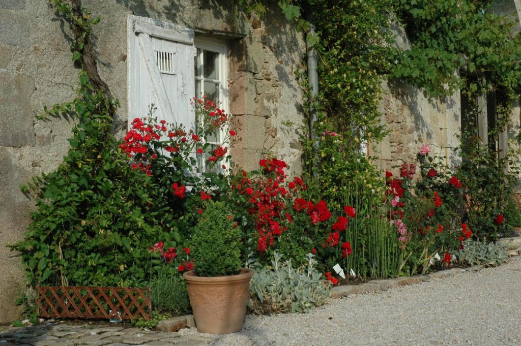 Bed and Breakfast Chateau De L'Oiseliniere Gorges  Zewnętrze zdjęcie